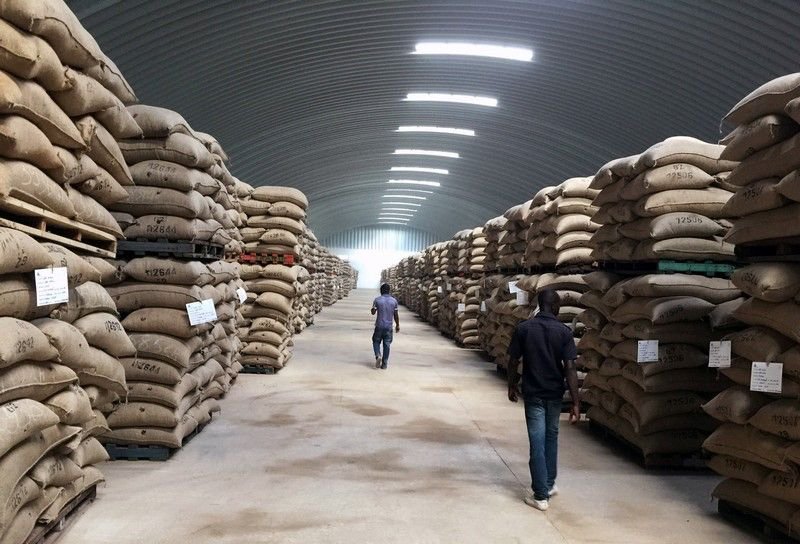 Modern warehouse logistics and palletized goods