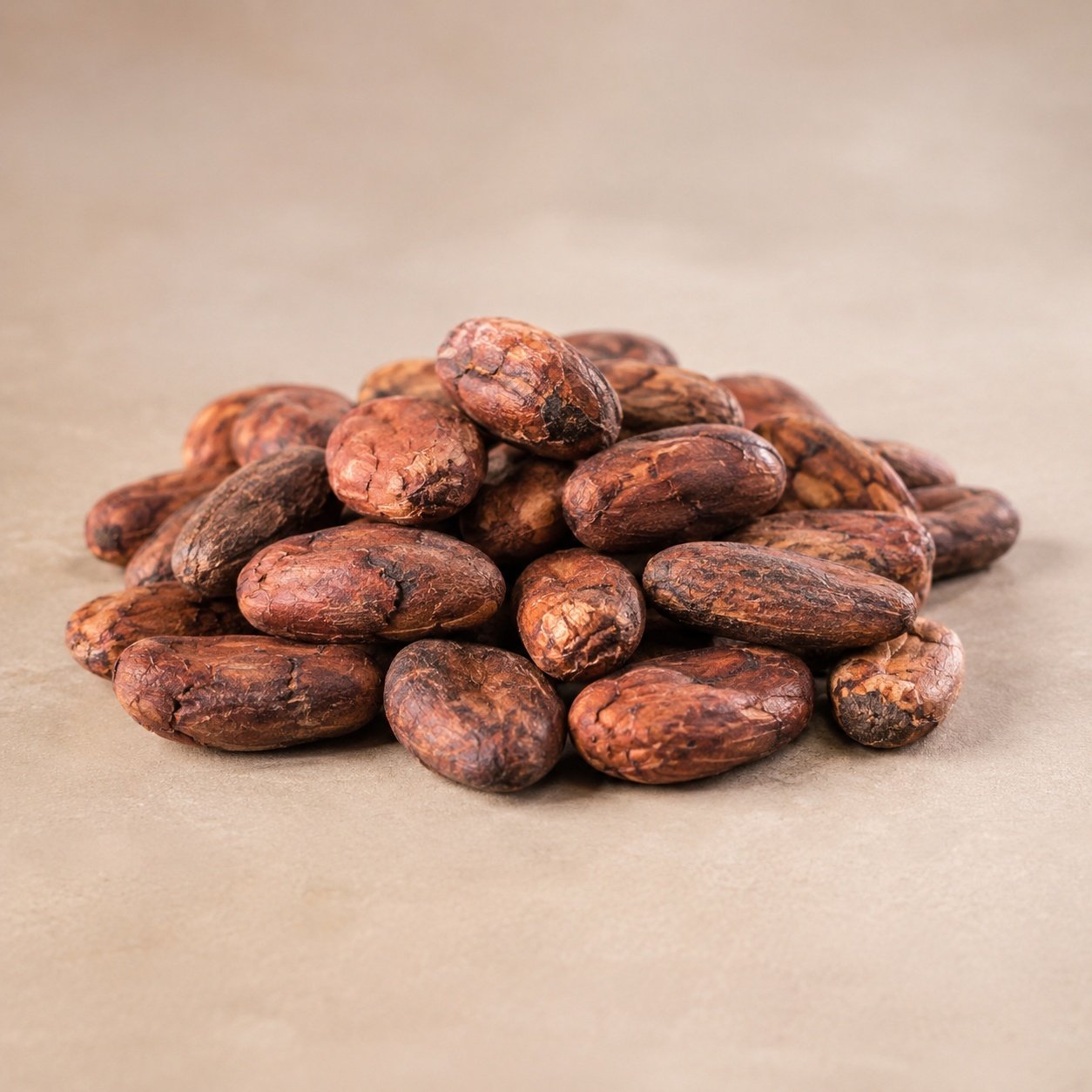 Cocoa nibs prepared for processing