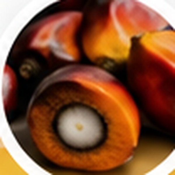 Real palm oil